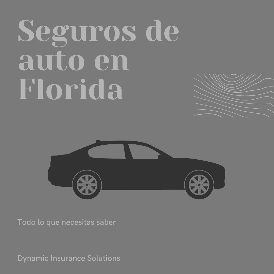 Seguros de auto en Florida - Dynamic Insurance Solutions